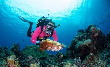 EWDR - Duikvakanties