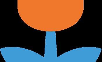 Toerist In Nederland