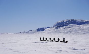 Arctic Adventure | Outdoor workshops, Trektochten & Expedities