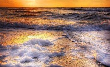 Carlson Wagonlit Travel