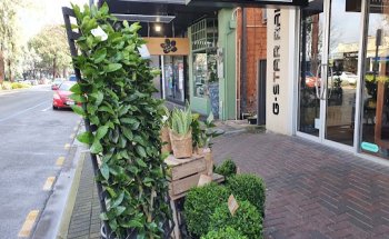 Phil Hoffmann Travel Norwood | Helloworld Travel Member