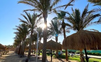 Reiseagentur / Reisebüro Call and Travel für Privat- und Geschäftsreisen