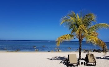 TravelManagers Lauren Compton