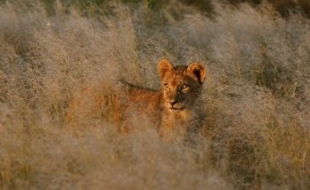 Journeys Worldwide Pty Ltd