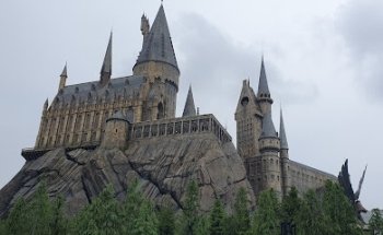 Botanic Ridge Travel