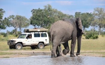 Self Drive Adventures