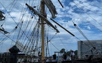 Australia Day on Sydney Harbour