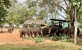 Heavenly Lanka Vacations