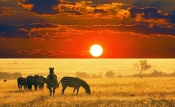 Destinations Africa