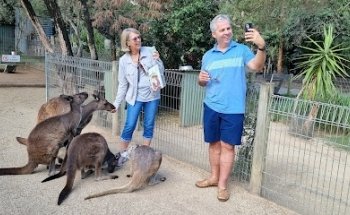 Blue Mountains Tours from Sydney