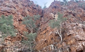 Huma Charity Challenge