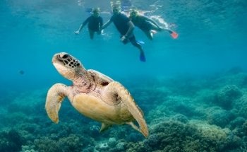 Educational Adventures