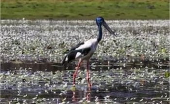 Bev Wills Cruise Holidays