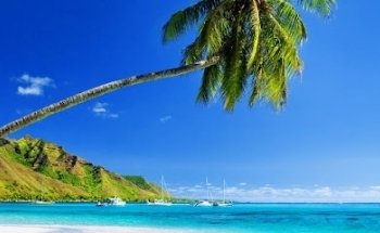 Southlands Travel & Cruise