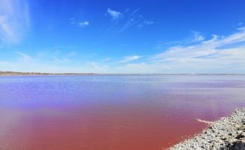 Pink Lake Tours Perth Travel Agency - Escape To WA