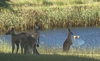 TravelManagers Vicki Hope