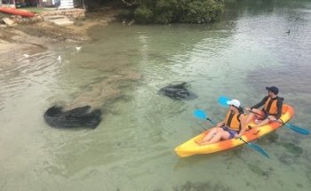 Region X Kayak and Camping Experiences and Equipment Hire