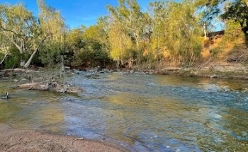 Gecko Canoeing and Trekking