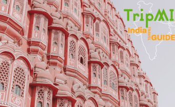 TripMIA Travels and Tours