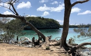 The Cruise & Travel Store