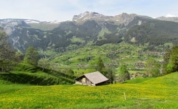 New England Travel Centre