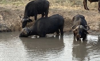 Phil Hoffmann Travel Barossa Valley