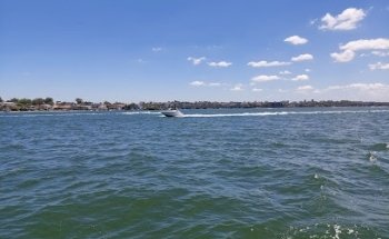 Bass & Flinders Cruises