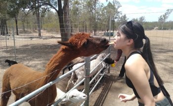 Adventure Day Trips Brisbane