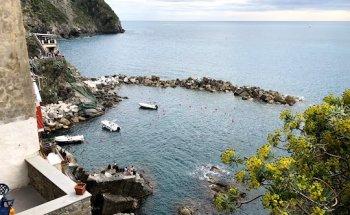 TierOne Travel Calgary