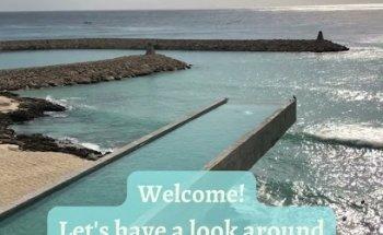 Tatum's Tailored Trips