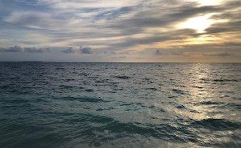 Mike-The Travel Agent Next Door