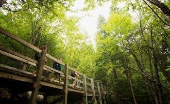 Aventure Écotourisme Québec | Québec Aventure Plein air | Parcs régionaux du Québec