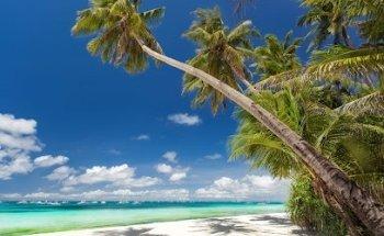 Travel Fiesta - Travel Agency Forfait Sud Et Golf