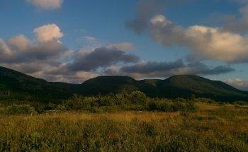 The Travel Agent Next Door