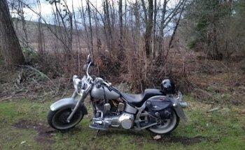 Forest Transport Service