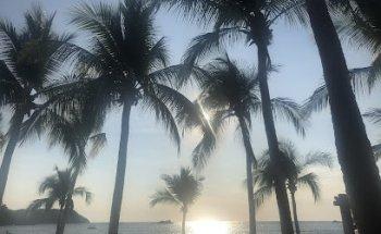 Club Med Agent - Margarita Travel