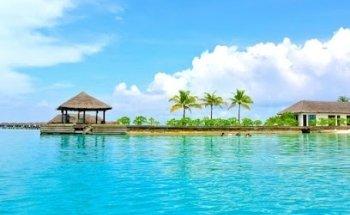 Mann International Travels & Tours Ltd. (YYZ.Travel)