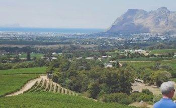 Quench Trip Design Ltd