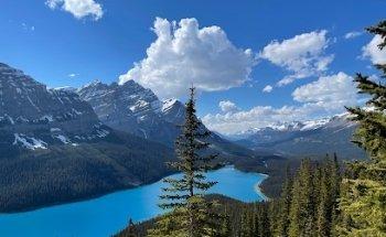 Jump In Travel & Tours