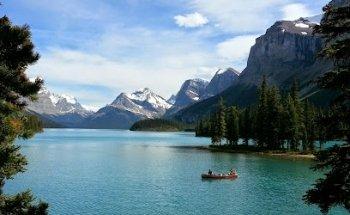 Shared Travel Svc Initiative