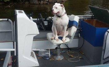 THE ART OF FISHING / HAVE BOAT WILL TRAVEL