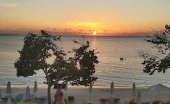 Tropical Bliss Wedding and Travel Services