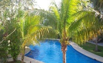 TPI Travel - Debbie Ford