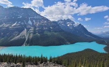 블루버드 여행사 (버나비본사) BLUEBIRD TRAVEL INC.