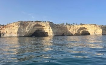 Harry's Travel World - Book with the Best - Available 24X7 on phone.