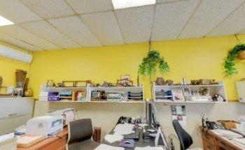 Travel Expressions Ltd