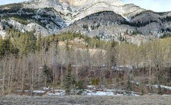 Geralyn The Travel Chick