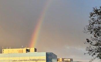 CAA Travel Call Centre