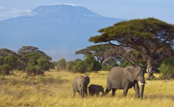 Natürlich Reisen Tourdesign GmbH & Co.KG