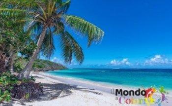 AGENZIA VIAGGI IL MONDO A COLORI GENOVA